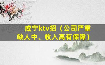 咸宁ktv招（公司严重缺人中、收入高有保障）